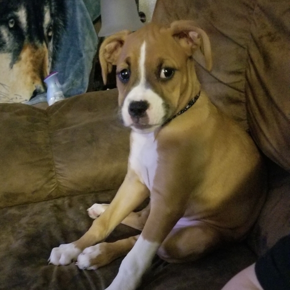 Meet your Posher, Jessica - Picture 4 of 9